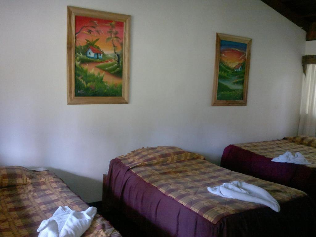 Hostel Villa Verde Monteverde Exteriér fotografie