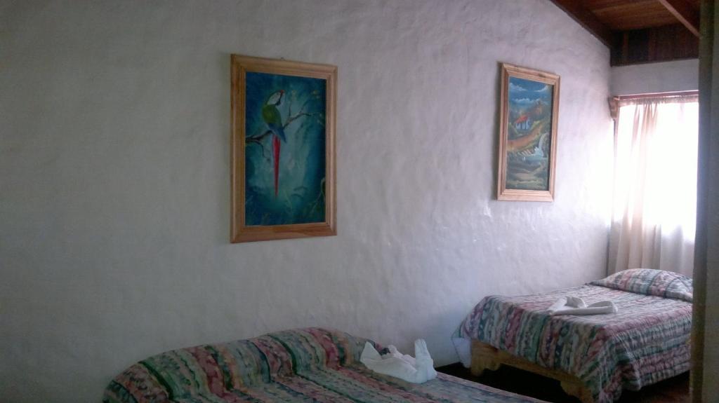Hostel Villa Verde Monteverde Exteriér fotografie
