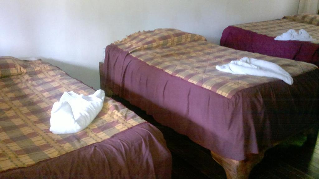 Hostel Villa Verde Monteverde Exteriér fotografie