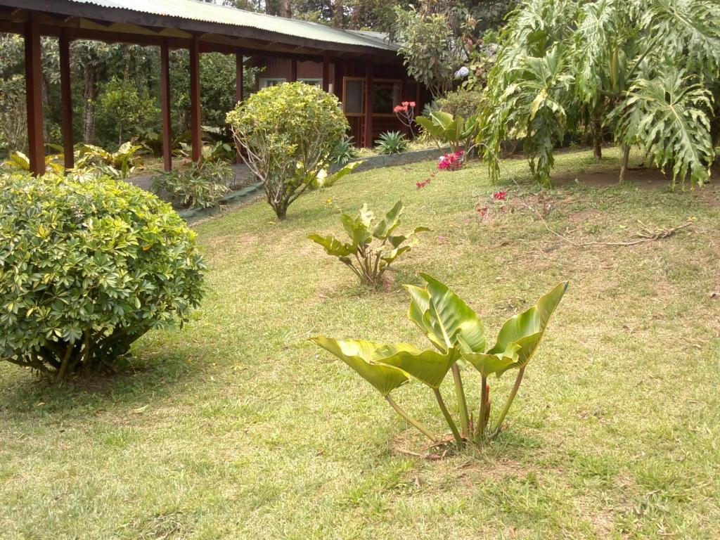Hostel Villa Verde Monteverde Exteriér fotografie